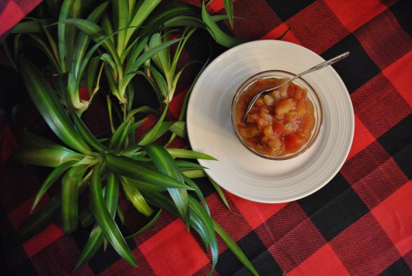 Ketchup aux fruits - Image 2